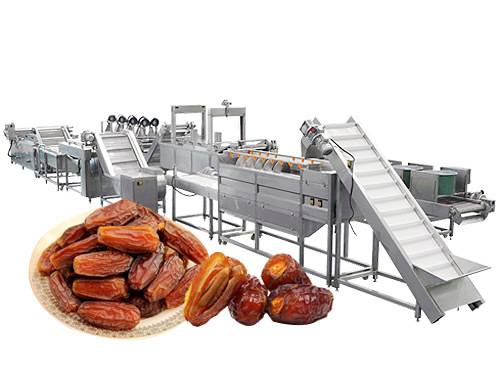 椰棗生產(chǎn)線